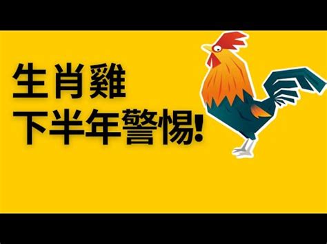 屬雞住宅方位|【屬雞適合的方位】雞年必看！屬雞住房風水大解析：適合方位樓。